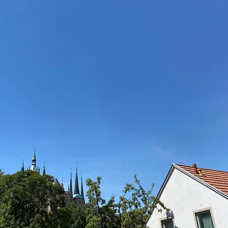 Am Dom